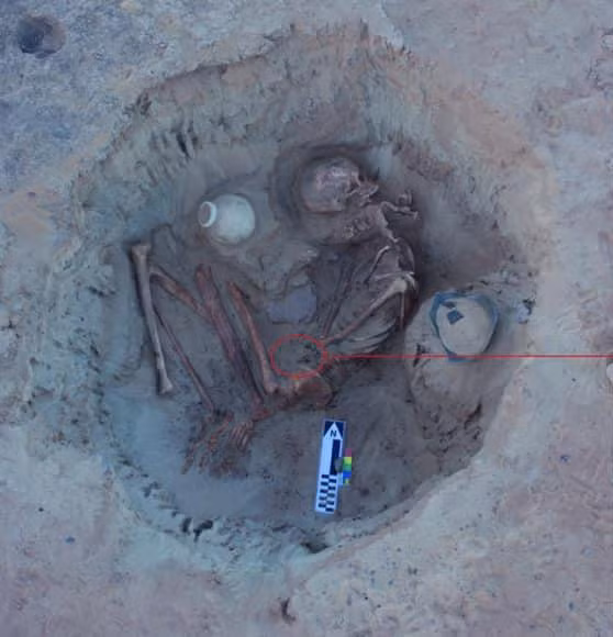 Nhà khảo cổ choáng khi phát hiện vật lạ cạnh hài cốt phụ nữ 3.700 năm tuổi ảnh 3