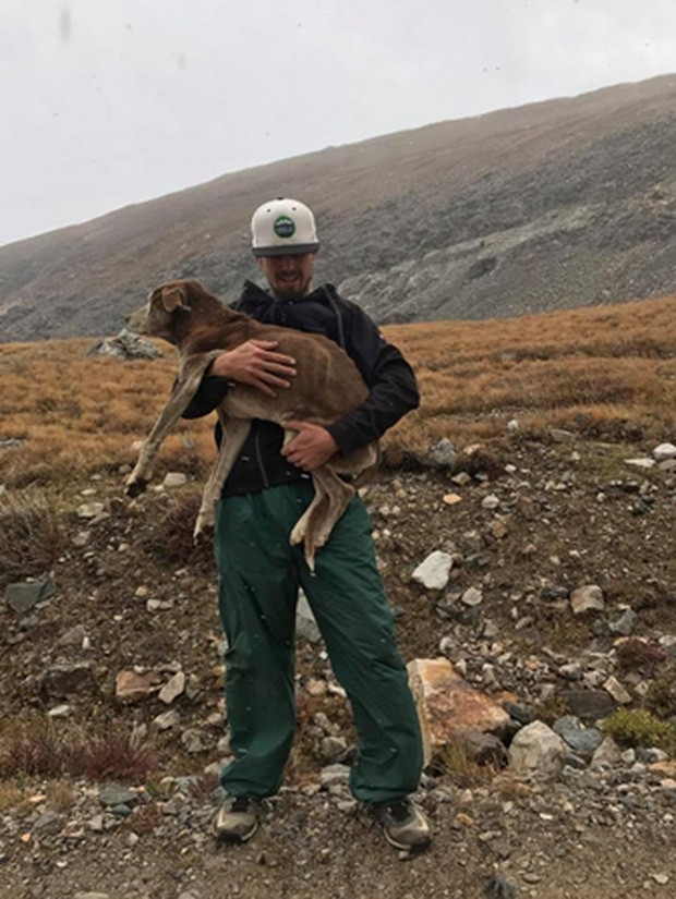 Nghe lời đồn về tiếng chó sủa như tiếng người khóc vọng ra từ ngọn núi hoang vắng, cô gái quyết tâm tìm đến tận nơi rồi sốc với cảnh tượng trước mắt - Ảnh 2. Nghe lời đồn về tiếng chó sủa như tiếng người khóc vọng ra từ ngọn núi hoang vắng, cô gái quyết tâm tìm đến tận nơi rồi sốc với cảnh tượng trước mắt - Ảnh 2.