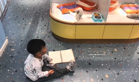 Muốn vẽ mèo như thật, cậu bé nhốt &quot;mẫu&quot; trong phòng rồi tỉ mẩn quan sát, đếm từng sợi lông, thành quả cuối cùng giơ ra ai cũng cười ná thở - Ảnh 1.