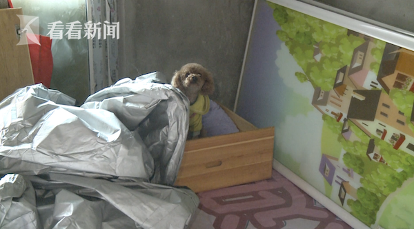 Bỏ hoang nhà 10 năm, người chủ về kiểm tra thì đột nhiên run bần bật vì âm thanh lạ, sau đó lại chết trân với cảnh tượng khủng khiếp - Ảnh 2.