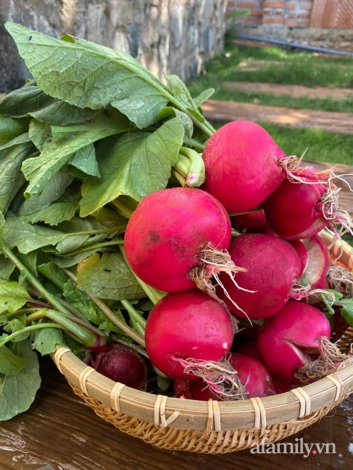 Ngôi nhà vườn nhỏ xinh như trong cổ tích của cô nàng 9X ảnh 20