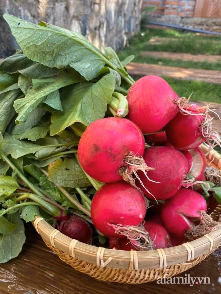 Ngôi nhà vườn nhỏ xinh như trong cổ tích của cô nàng 9X ảnh 20 Ngôi nhà vườn nhỏ xinh như trong cổ tích của cô nàng 9X ảnh 20