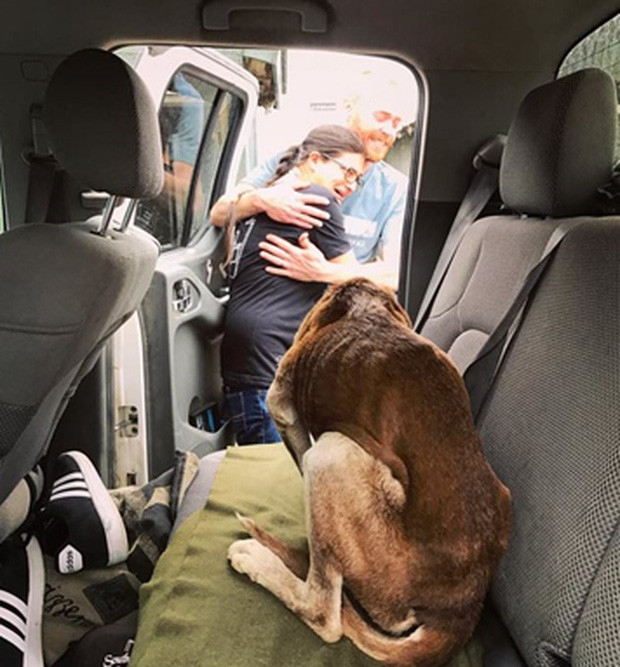 Nghe lời đồn về tiếng chó sủa như tiếng người khóc vọng ra từ ngọn núi hoang vắng, cô gái quyết tâm tìm đến tận nơi rồi sốc với cảnh tượng trước mắt - Ảnh 3. Nghe lời đồn về tiếng chó sủa như tiếng người khóc vọng ra từ ngọn núi hoang vắng, cô gái quyết tâm tìm đến tận nơi rồi sốc với cảnh tượng trước mắt - Ảnh 3.