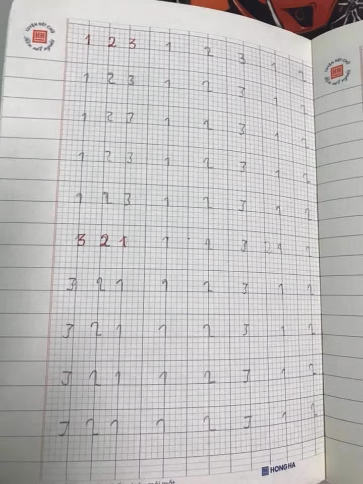 Cười vỡ bụng những màn khoe chữ con học lớp 1 ảnh 9