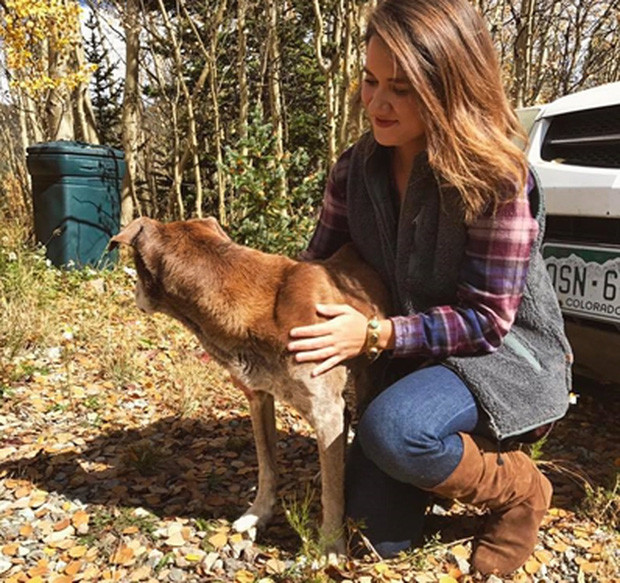 Nghe lời đồn về tiếng chó sủa như tiếng người khóc vọng ra từ ngọn núi hoang vắng, cô gái quyết tâm tìm đến tận nơi rồi sốc với cảnh tượng trước mắt - Ảnh 4. Nghe lời đồn về tiếng chó sủa như tiếng người khóc vọng ra từ ngọn núi hoang vắng, cô gái quyết tâm tìm đến tận nơi rồi sốc với cảnh tượng trước mắt - Ảnh 4.