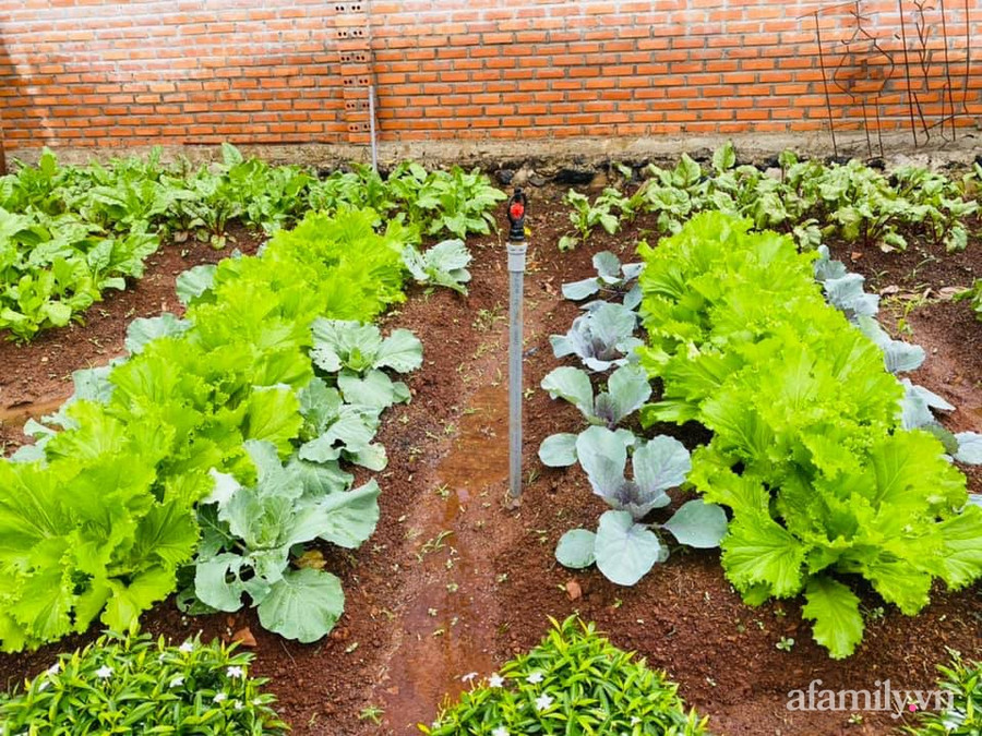 Ngôi nhà vườn nhỏ xinh như trong cổ tích của cô nàng 9X ảnh 21