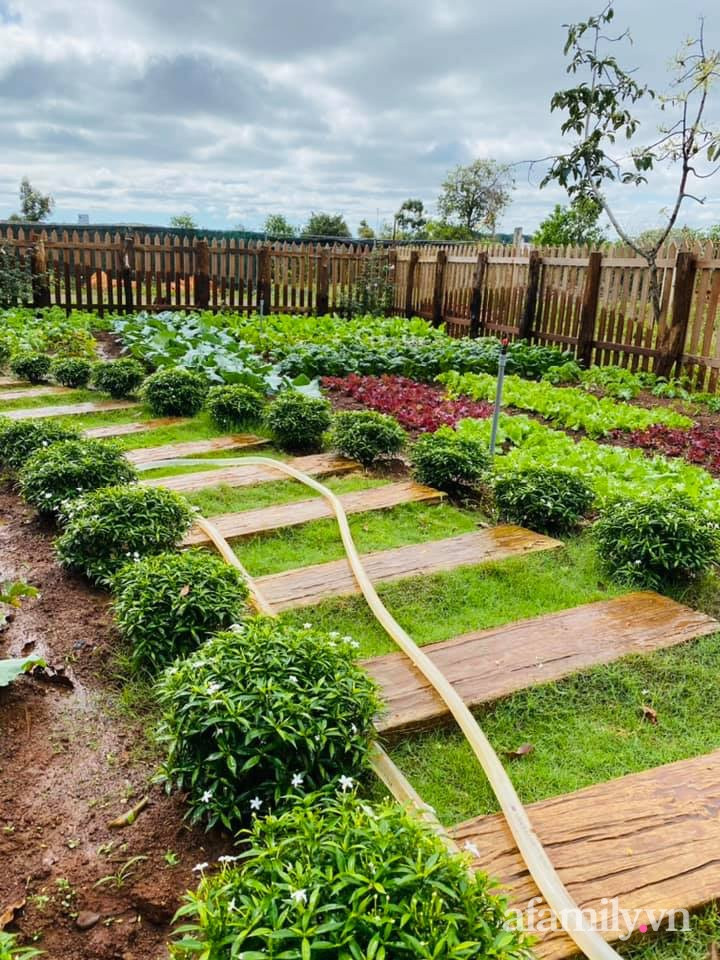 Mỗi khi rảnh rỗi, cô gái lại ra vườn chăm cây.