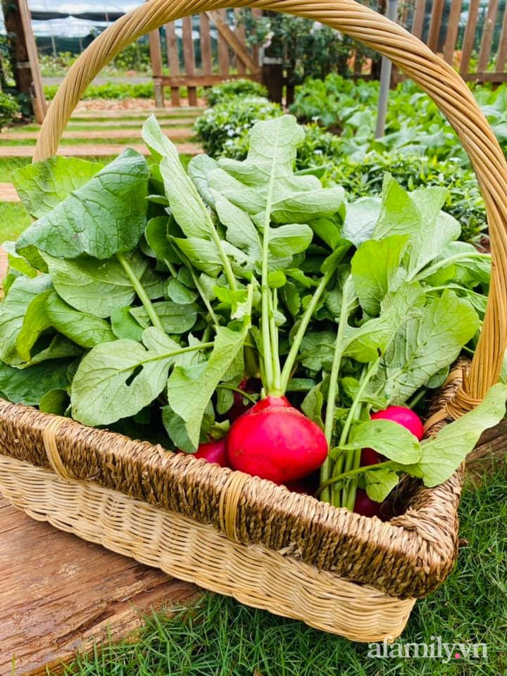 Ngôi nhà vườn nhỏ xinh như trong cổ tích của cô nàng 9X ảnh 22