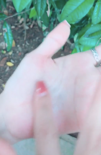 Chiếc lá kì lạ cứ cọ vào tay là ra nhựa trắng, nhưng chớp mắt lại biến mất ảnh 2