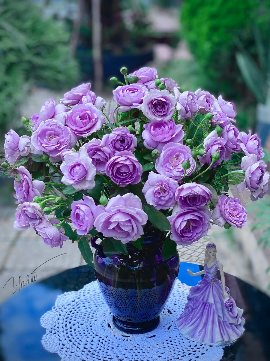 Mẹ đảm "mách nước" 1001 cách cắm hoa đẹp, ý nghĩa nhân ngày Gia đình Việt Nam ảnh 7 Mẹ đảm "mách nước" 1001 cách cắm hoa đẹp, ý nghĩa nhân ngày Gia đình Việt Nam ảnh 7