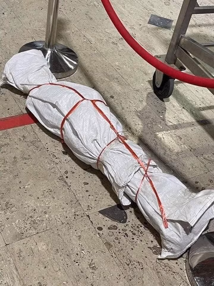 Thanh niên "ba chân bốn cẳng" bỏ chạy ở sân bay, biết sự thật ai cũng phì cười ảnh 5