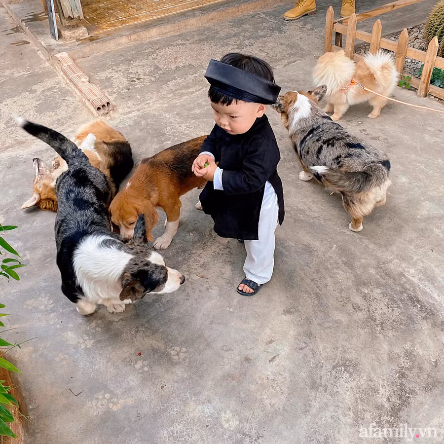 "Thầy bói" nhí chơi đùa với thú cưng yêu ơi là yêu.