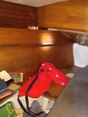 Sững sờ phát hiện điều kỳ lạ từ xác ướp người đàn ông trên thuyền dạt vào bờ ảnh 8