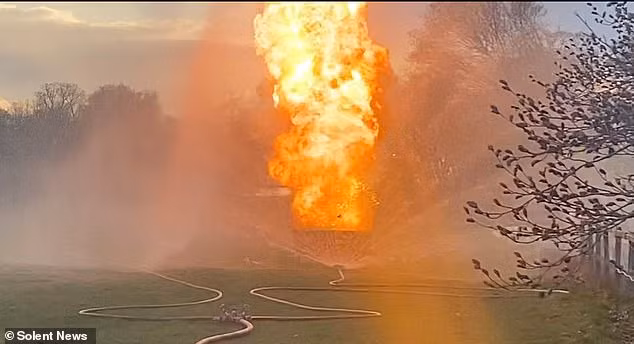 Đào được đống chai sữa trong vườn, người bố 3 con thất kinh khi biết "danh tính" của chúng, cảnh tượng sau đó càng khiến ông biết ơn vì được Tử thần bỏ quên - Ảnh 6.