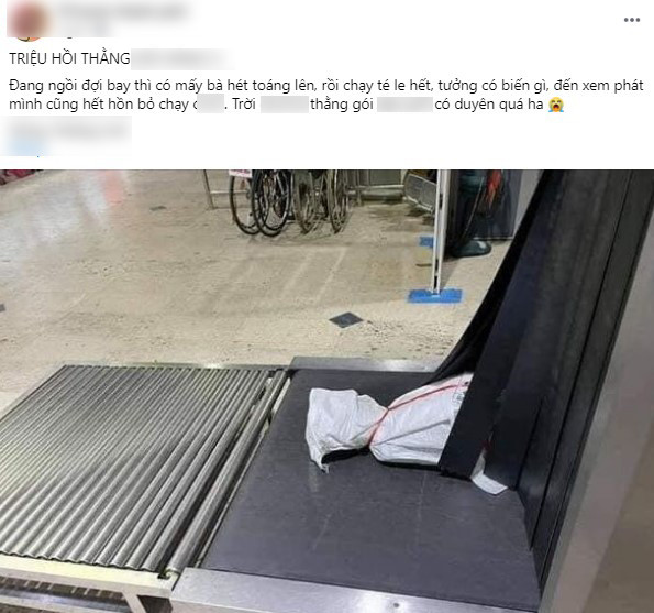 Thấy có tiếng la hét ở sân bay, chàng trai tò mò "hóng biến" nhưng khi vừa nhìn thấy vật thể lạ này, anh cũng "ba chân bốn cẳng" bỏ chạy - Ảnh 1. Thấy có tiếng la hét ở sân bay, chàng trai tò mò "hóng biến" nhưng khi vừa nhìn thấy vật thể lạ này, anh cũng "ba chân bốn cẳng" bỏ chạy - Ảnh 1.