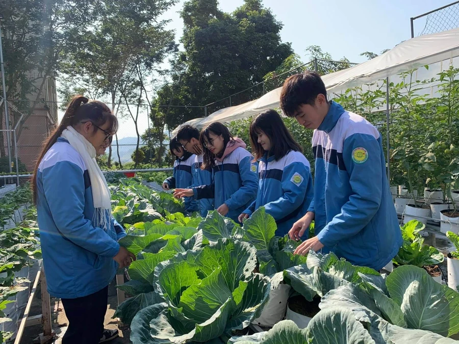 HS Trường THPT Chuyên Lào Cai đẩy mạnh hoạt động học tập trải nghiệm.