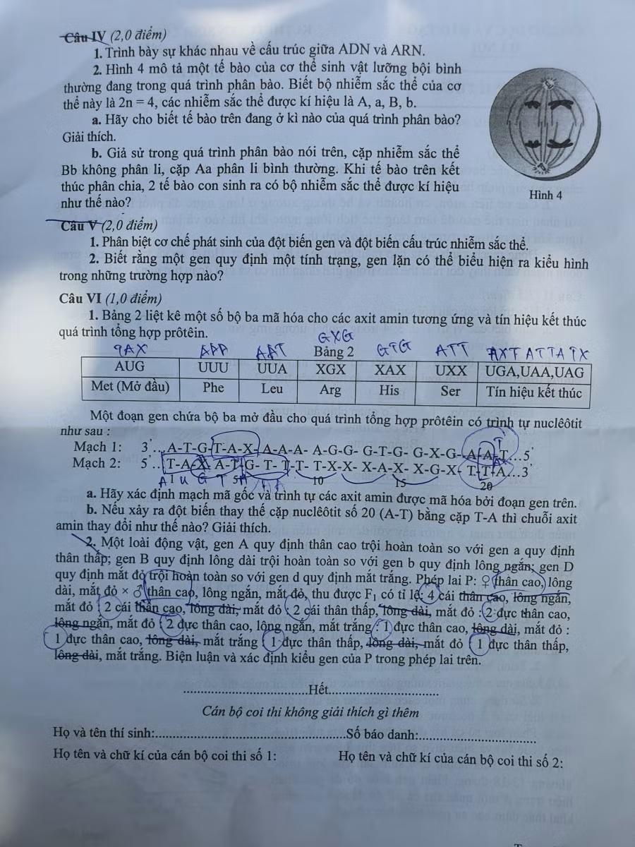 Đề thi vào lớp 10 chuyên Sinh học của Hà Nội.