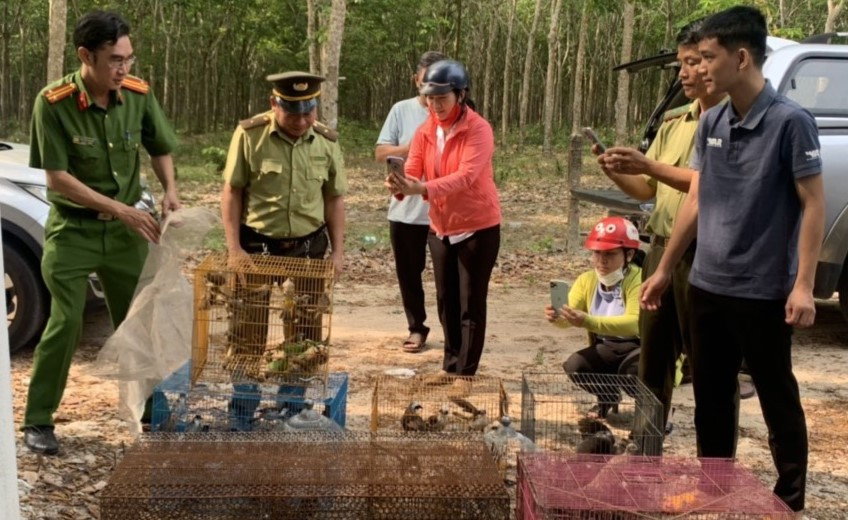 Ngành chức năng thả các loại động vật quý hiếm.