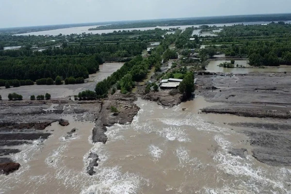 Sạt lở bờ sông, bờ biển ở Cà Mau ngày càng diễn biến phức tạp. 