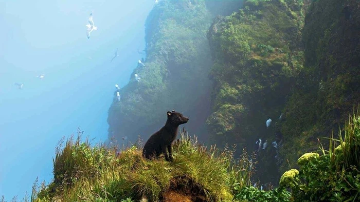 Bức ảnh đoạt giải trong Cuộc thi ảnh Động vật hoang dã Quốc gia năm 2025 của Mỹ.