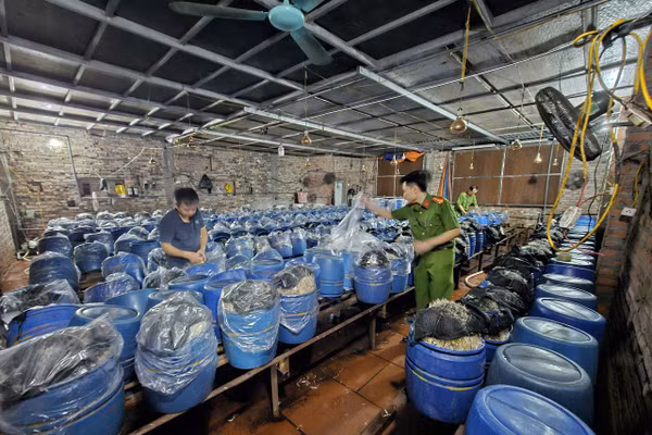Sử dụng hóa chất sản xuất giá đỗ. (Ảnh: BCA).