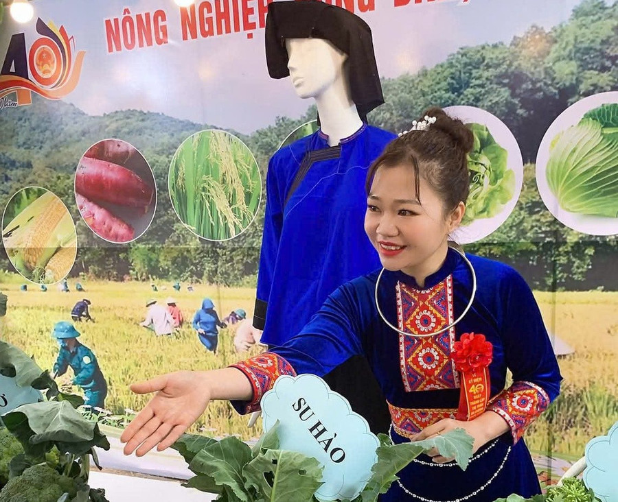 Cô giáo Triệu Thu Hà, Trường Tiểu học Mỏ Na Dương, Lạng Sơn
