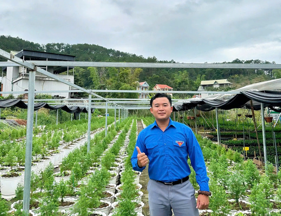 Anh Hoàng Ngọc Vũ (sinh năm 1993, dân tộc Tày, xã Đình Lập, Lạng Sơn) là người phát triển vườn ươm hoàng đàn. Ảnh NVCC