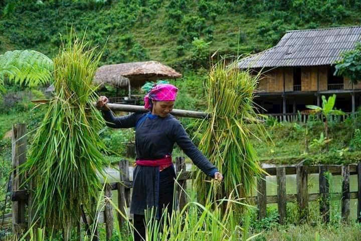 Một góc Bản Liền Pine Homestay của gia đình chị Thông. thong-2.jpg