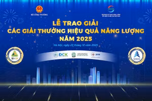 Năm 2025 đánh dấu năm thứ 5 liên tiếp các giải thưởng về hiệu quả năng lượng được tổ chức.