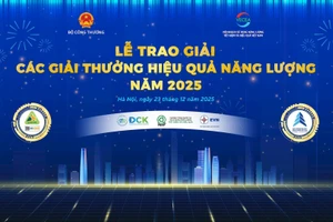 Năm 2025 đánh dấu năm thứ 5 liên tiếp các giải thưởng về hiệu quả năng lượng được tổ chức.