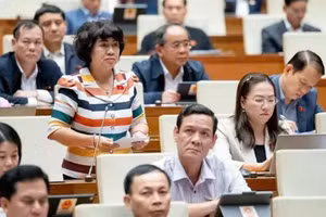 Đại biểu Nguyễn Thị Lệ Thủy (Đoàn Bến Tre). (Ảnh: QH)