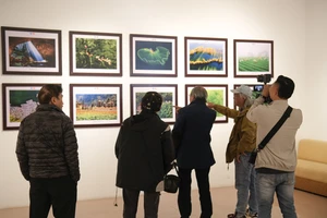 Du khách tham quan triển lãm.