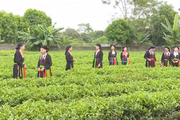 Hát Soọng Cô gắn chặt với đời sống người dân tộc Sán Dìu Nam Hòa.
