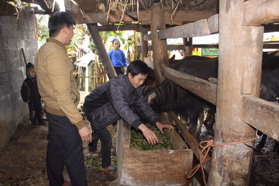 Hà Giang giảm nghèo bền vững cho vùng đồng bào dân tộc thiểu số ảnh 1