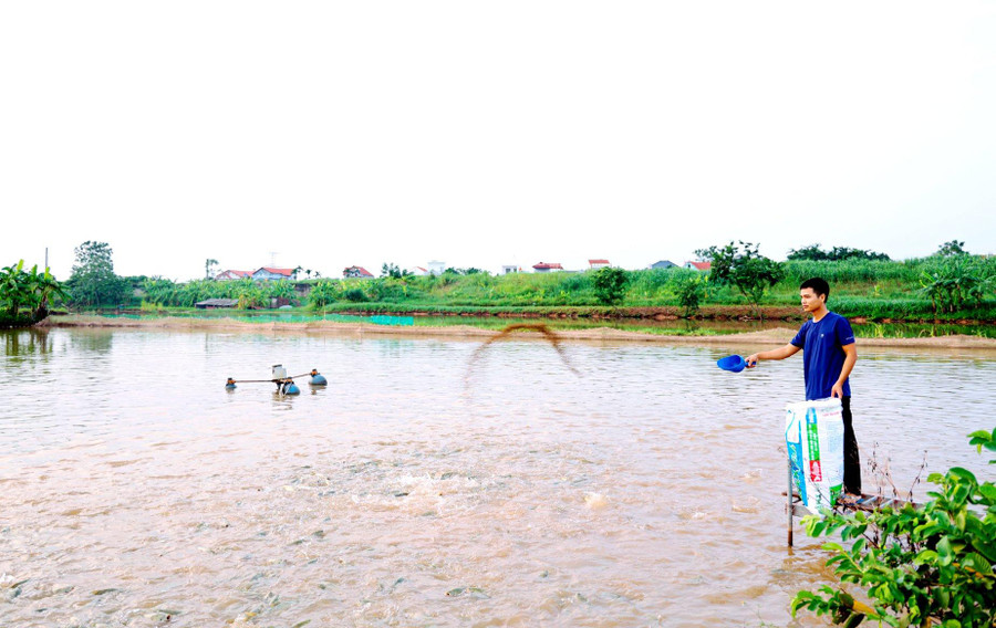 Người dân đã tích cực áp dụng kỹ thuật trong chăn nuôi. Người dân đã tích cực áp dụng kỹ thuật trong chăn nuôi.