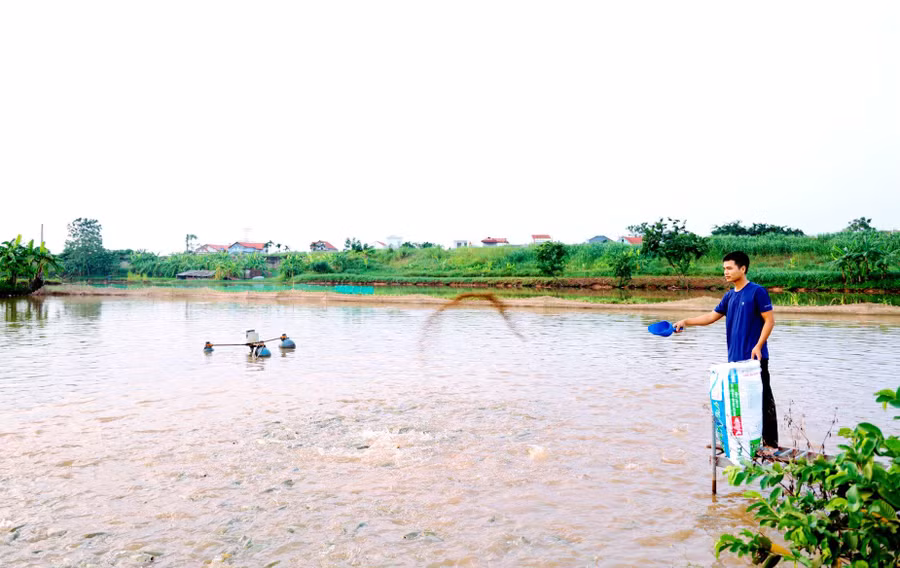 Người dân đã tích cực áp dụng kỹ thuật trong chăn nuôi.