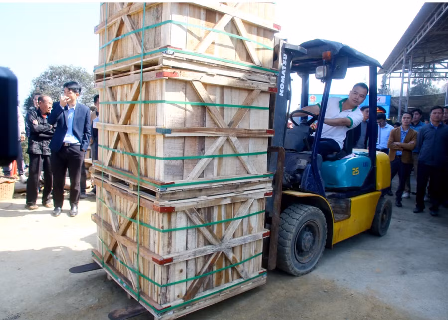 36 tấn củ cải muối của nông dân Hà Giang lên đường sang Nhật Bản.