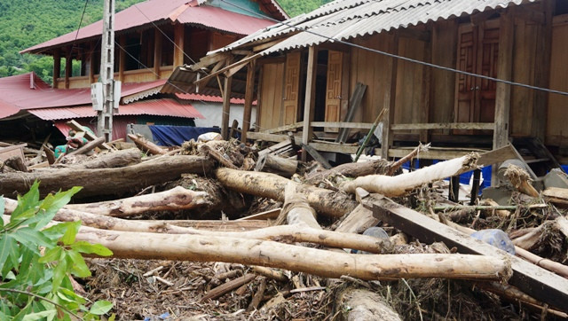 Lũ đổ về, kéo theo vô số cây gỗ lớn từ trên rừng xuống tràn vào cả nhà dân.