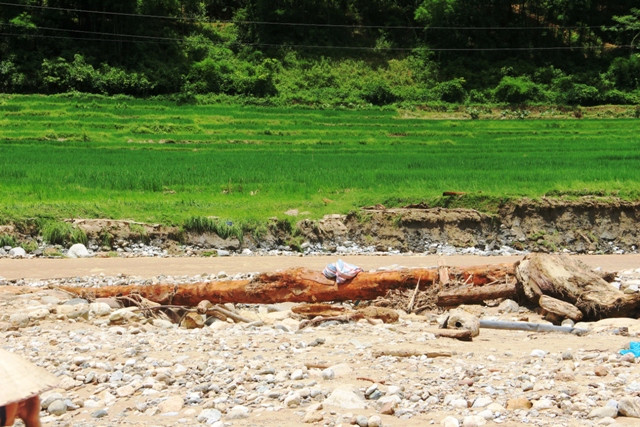 Nằm trơ lại trên bãi đá