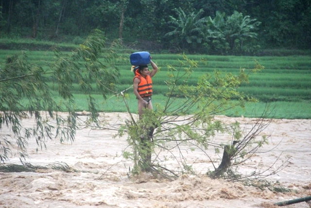 Anh Phạm Bá Huy (26 tuổi) mắc kẹt trên ngọn cây giữa dòng sông Luồng.