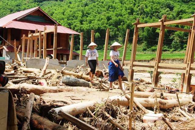 Gỗ tràn ngập lối đi ở Sa Ná