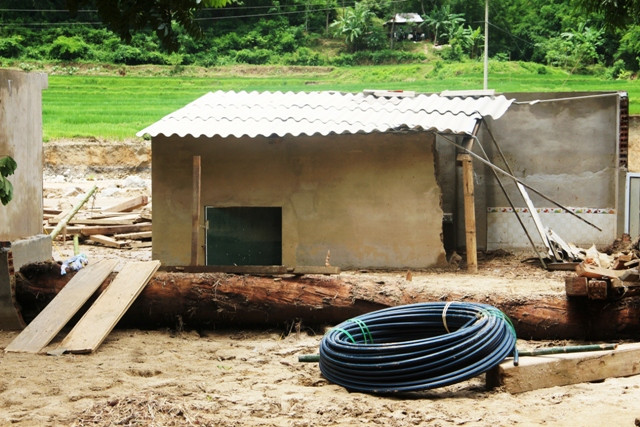 Cây gỗ rừng to tướng va đổ nhà dân