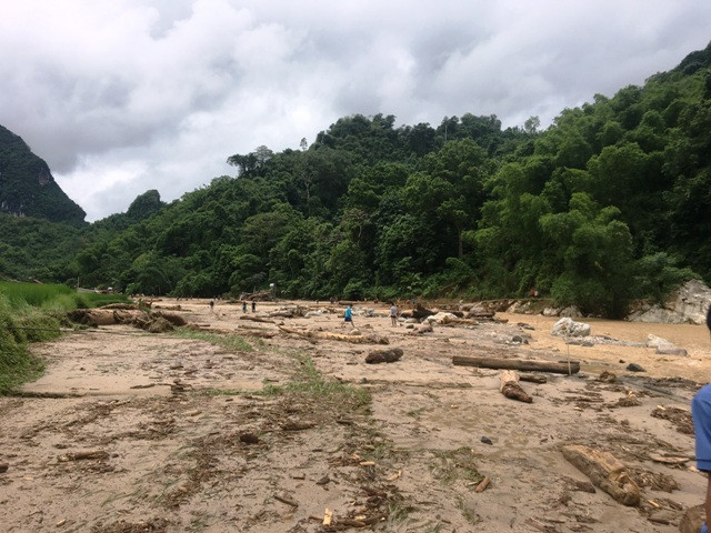 Lũ về, kéo theo vô số cây gỗ rừng tràn xuống bản Sa Ná