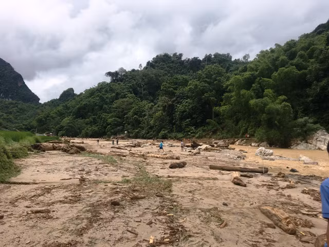 Lũ về, kéo theo vô số cây gỗ rừng tràn xuống bản Sa Ná