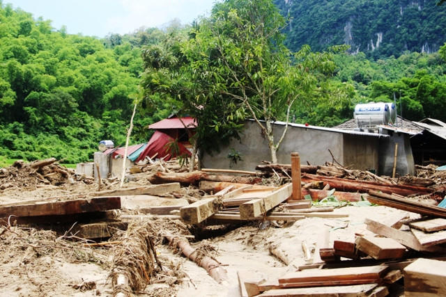 Đủ thứ các loại gỗ