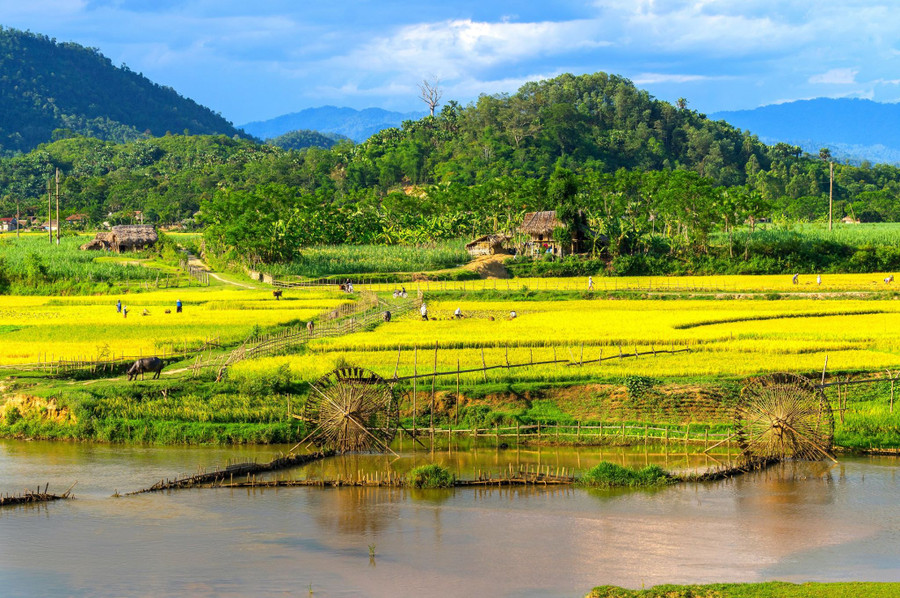 Xây dựng nông thôn mới thúc đẩy kinh tế vùng cao phát triển, xóa đối giảm nghèo Xây dựng nông thôn mới thúc đẩy kinh tế vùng cao phát triển, xóa đối giảm nghèo