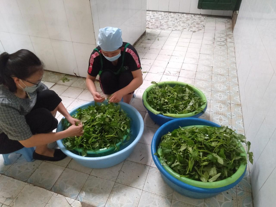 Nhân viên phục vụ nội trú Trường PTDTNT-THCS Quan Hóa chuẩn bị thực phẩm để nấu ăn cho những thí sinh đăng ký nghỉ trọ và ăn uống tại ký túc xá của nhà trường. Nhân viên phục vụ nội trú Trường PTDTNT-THCS Quan Hóa chuẩn bị thực phẩm để nấu ăn cho những thí sinh đăng ký nghỉ trọ và ăn uống tại ký túc xá của nhà trường.