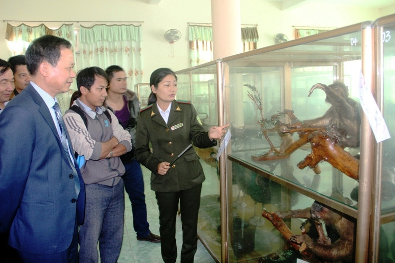 Hướng dẫn viên đang thuyết trình về hệ động vật quý hiếm ở Vườn quốc gia Bến En cho du khách.