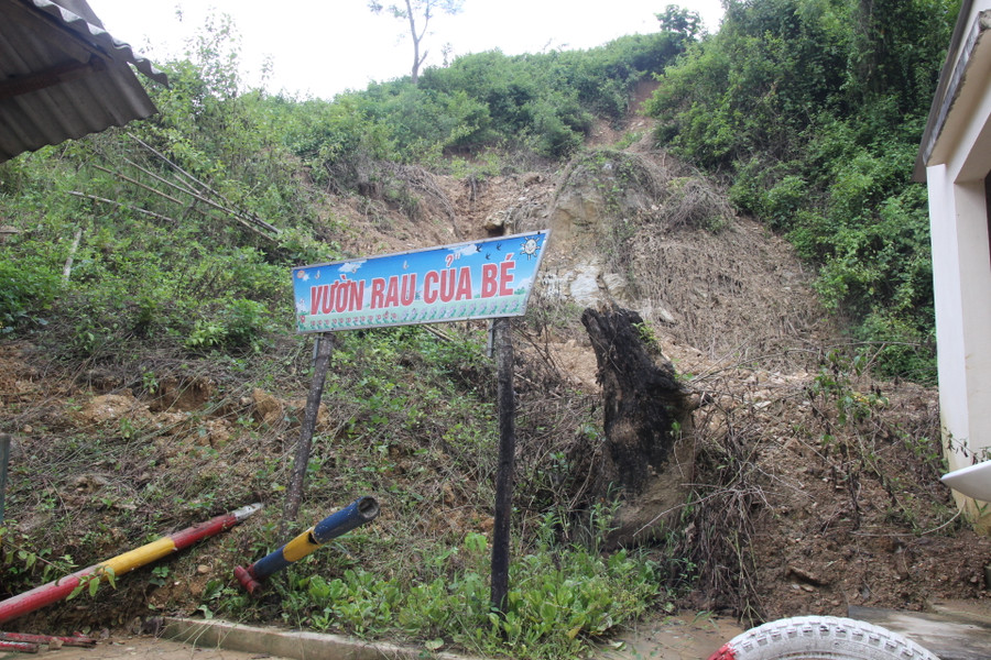 Vườn rau của bé cũng bị vùi lấp