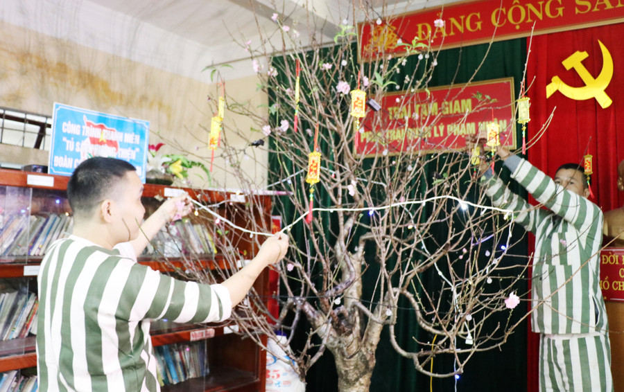 Phạm nhân trang trí cây đào đón Tết Quý Mão tại Trại tạm giam Công an tỉnh Nghệ An. Ảnh: Hồ Lài.